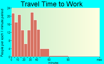Wellman travel time to work - commute