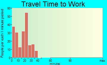 Ellis travel time to work - commute
