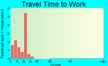 Palmer travel time to work