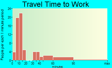 Cameron travel time to work - commute
