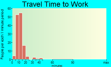 Ferguson travel time to work