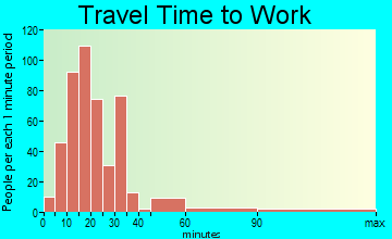 Gray travel time to work