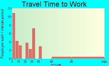 Bingham travel time to work