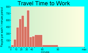 Arlington commuting: travel time to work