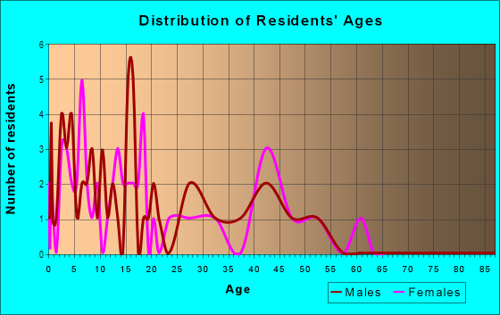 Age and Sex of Residents in Brothers Four in Bennett, CO