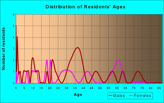 Age and Sex of Residents in Lakewood Place in Plant City, FL