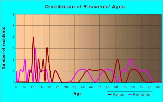 Age and Sex of Residents in Lincoln Park South in Plant City, FL