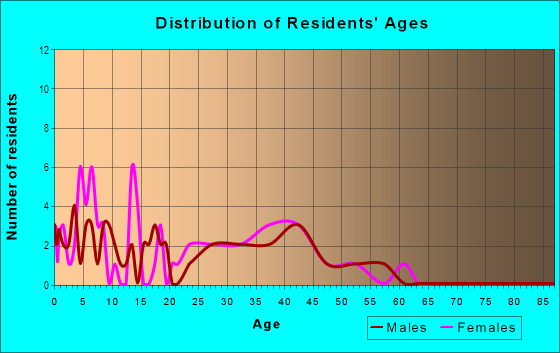 Age and Sex of Residents in Brightside Village in Tampa, FL