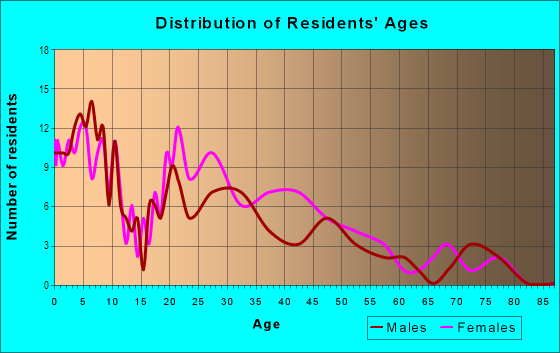 Age and Sex of Residents in Hamner's W E Homestead Acres in Tampa, FL
