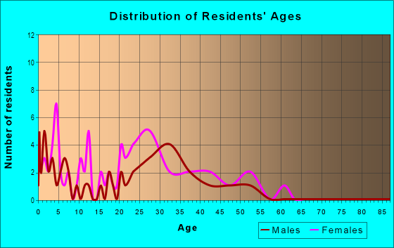 Age and Sex of Residents in Nelm's Heights in Tampa, FL