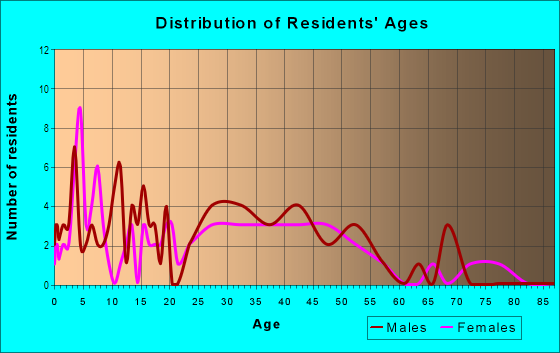 Age and Sex of Residents in North End Terrace in Tampa, FL