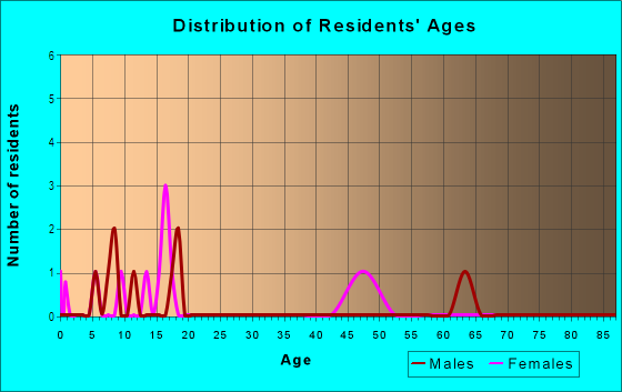 Age and Sex of Residents in Central Village in Tampa, FL