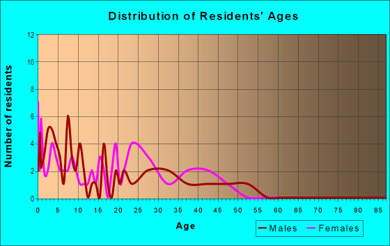 Age and Sex of Residents in Hamner's W E Fletcher Avenue Estates in Tampa, FL