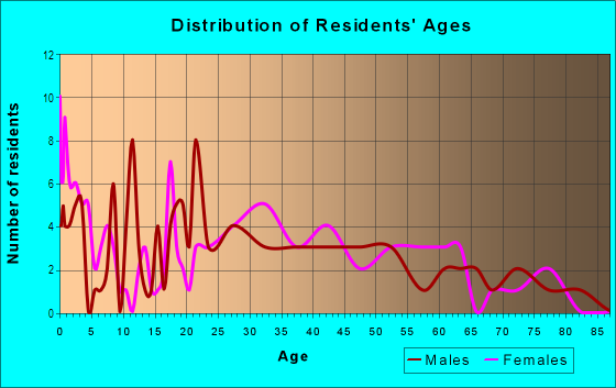 Age and Sex of Residents in Avondale in Tampa, FL