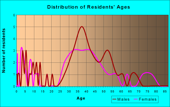 Age and Sex of Residents in Bay City in Tampa, FL