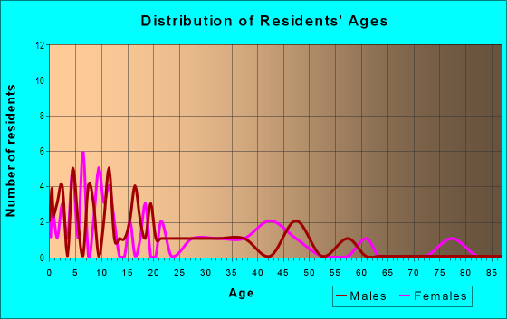 Age and Sex of Residents in Belvedere Place in Tampa, FL