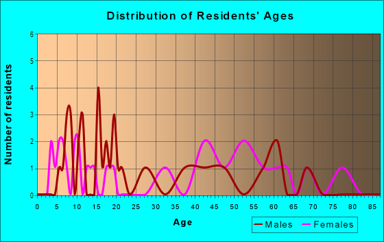 Age and Sex of Residents in El Cerro in Tampa, FL