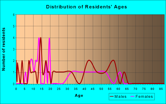 Age and Sex of Residents in Lorraine Estates in Tampa, FL