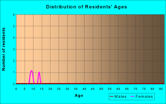 Age and Sex of Residents in Morey Heights in Tampa, FL