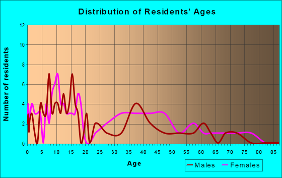 Age and Sex of Residents in Nebraska Heights in Tampa, FL