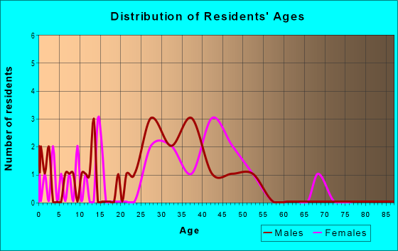 Age and Sex of Residents in Seminole Heights North in Tampa, FL
