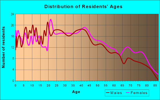Age and Sex of Residents in Bellefield Village in Tampa, FL