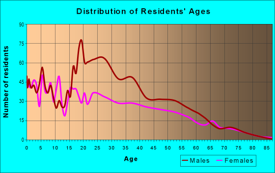 Age and Sex of Residents in South Immokalee in Immokalee, FL
