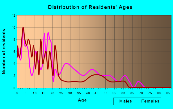 Age and Sex of Residents in Rembrandt Gardens in Tampa, FL