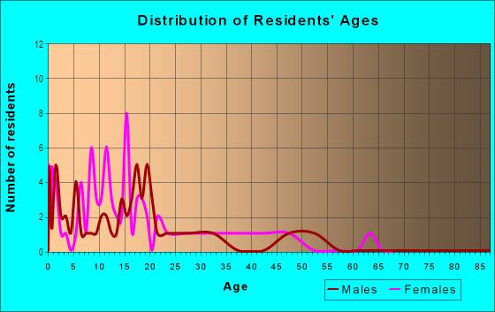 Age and Sex of Residents in Collier Village in Immokalee, FL