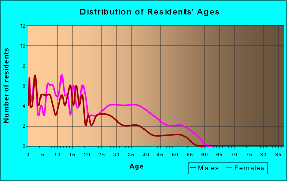 Age and Sex of Residents in Silver Pines in Orlando, FL