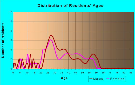 Age and Sex of Residents in Summerset Village in Tampa, FL