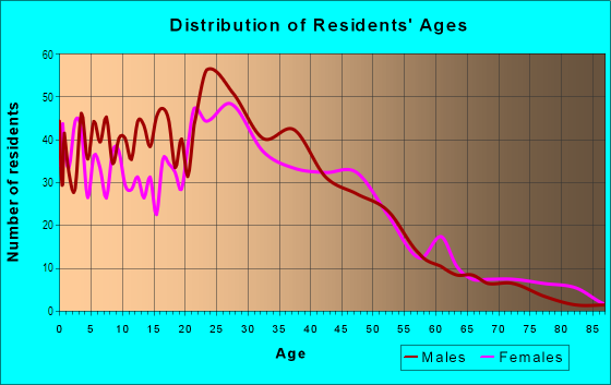 Age and Sex of Residents in Lake Bradford in Tallahassee, FL