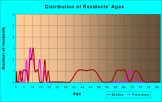 Age and Sex of Residents in Silver Lake Hill in Leesburg, FL