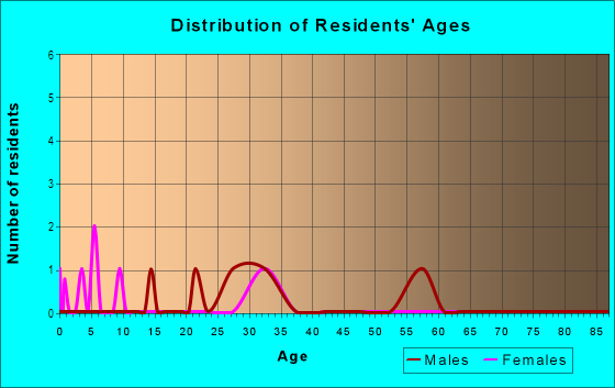 Age and Sex of Residents in South of Main Street in Leesburg, FL