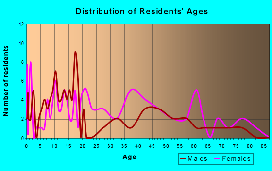 Age and Sex of Residents in North Lincoln Heights in Gainesville, FL