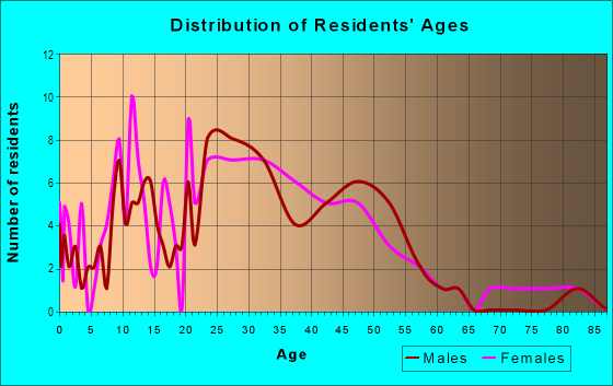 Age and Sex of Residents in Northeast Neighbors in Gainesville, FL