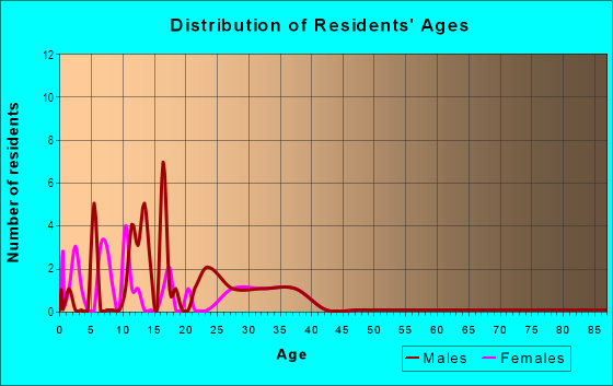 Age and Sex of Residents in Vine Park in Fort Meade, FL