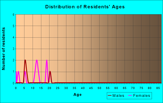 Age and Sex of Residents in Village Estates in Haines City, FL
