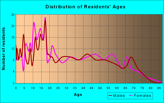 Age and Sex of Residents in Buena Vista East in Miami, FL