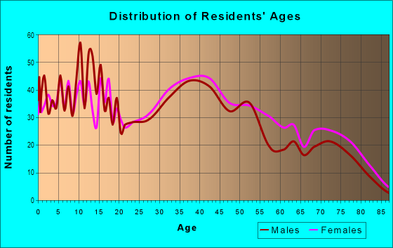 Age and Sex of Residents in Palm River in Tampa, FL