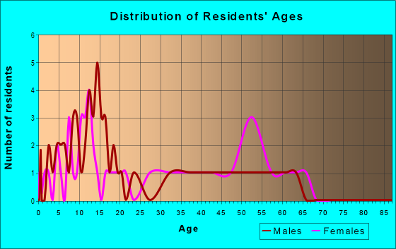 Age and Sex of Residents in Palm River Village in Tampa, FL