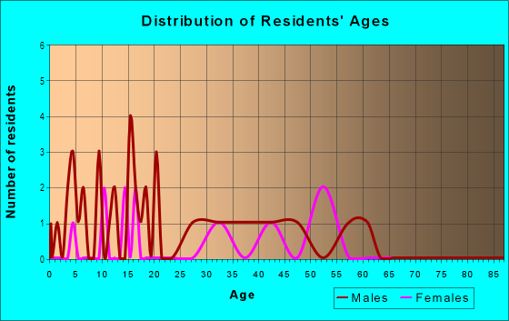 Age and Sex of Residents in South Plant City Farms in Plant City, FL