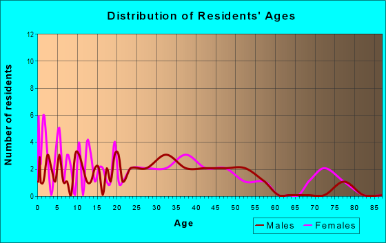 Age and Sex of Residents in Washington Park in Plant City, FL