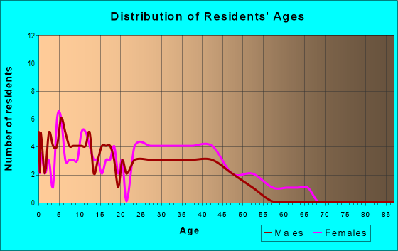 Age and Sex of Residents in Downtown in Park Forest, IL