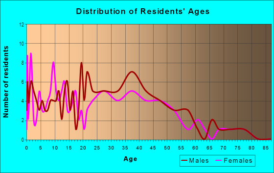 Age and Sex of Residents in Downtown West Chicago in West Chicago, IL