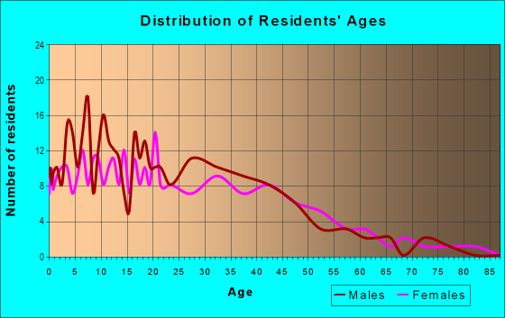 Age and Sex of Residents in Roosevelt Highlands in West Chicago, IL