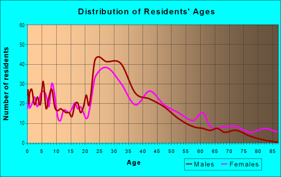 Age and Sex of Residents in McHenry Road in Wheeling, IL