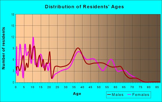 Age and Sex of Residents in Town Center in Woodridge, IL