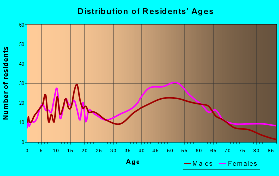 Age and Sex of Residents in Village East in South Holland, IL
