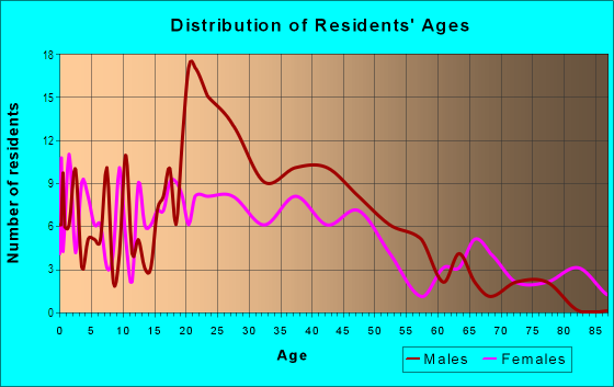 Age and Sex of Residents in Downtown in Morris, IL